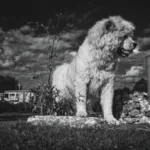 descubre los 5 hábitos que comparten las personas felices con ingresos bajos y cómo adoptarlos para mejorar tu bienestar y satisfacción diaria.