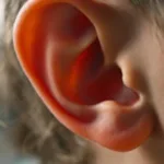 descubre qué revela la forma de tus orejas sobre tu personalidad con este test único. ¡sorpréndete con los resultados que reflejan tu verdadero carácter!