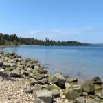 descubre por qué la constante necesidad de estar ocupado no es productividad ni ambición, sino una señal de algo que estás evitando.